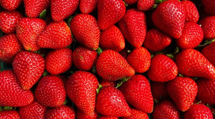 EU impone cuota antidumping de 5.28% a fresa mexicana