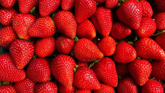 Fresas