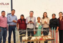 Zacatlán entrega más de 3 mil gallinas de postura