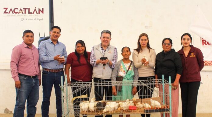 Zacatlán entrega más de 3 mil gallinas de postura