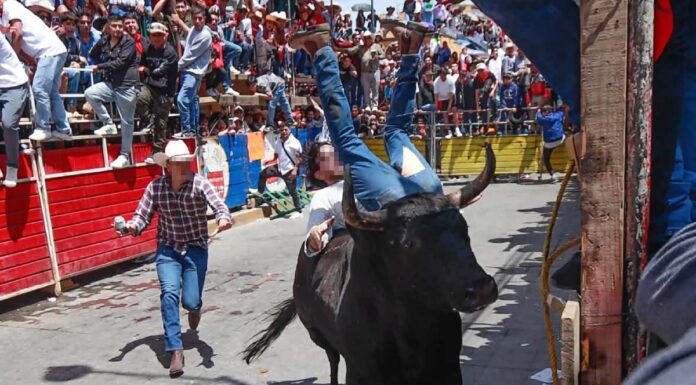 Huamantlada 2026 deja un muerto y nueve personas heridas
