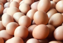 Detectan venta de “huevos piratas” en Durango