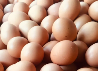 Detectan venta de “huevos piratas” en Durango