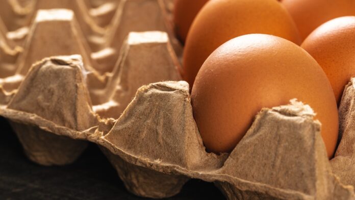 Huevos