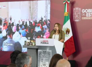 Promueven participación indígena con consulta sobre Consejos Regionales