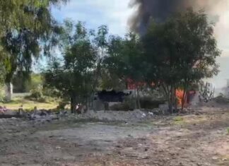 Incendio en inmediaciones de La Margarita moviliza a bomberos