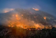 Incendios forestales azotan el noroeste de Estados Unidos