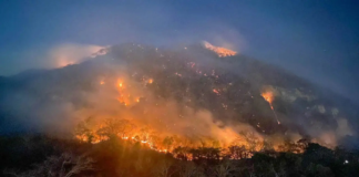 Incendios forestales azotan el noroeste de Estados Unidos