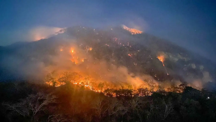 Incendios en Estados Unidos