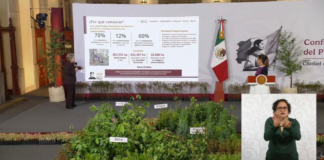 Sheinbaum iniciará Jornada Nacional de Reforestación en Puebla