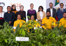 México realizará Jornada de Reforestación con millones de árboles