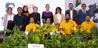 México realizará Jornada de Reforestación con millones de árboles