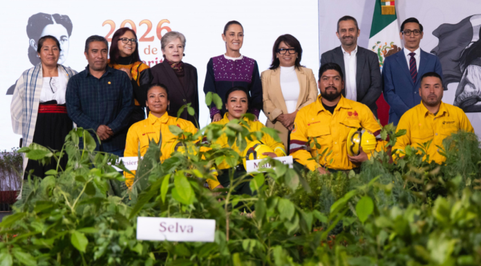 México realizará Jornada de Reforestación con millones de árboles