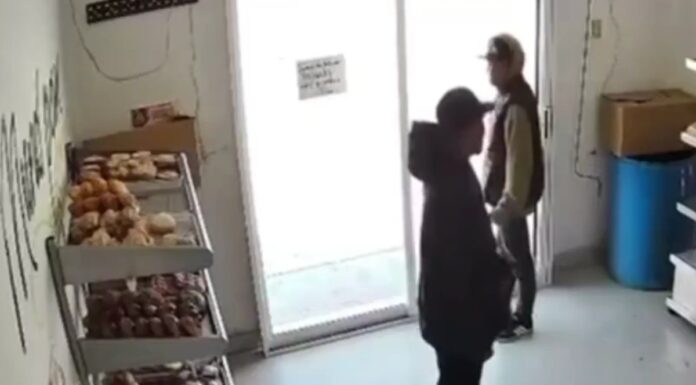 Roban cuenta del día y piezas de pan a negocio en Bosques de Santa Anita