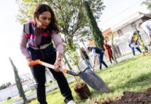 Lupita Cuautle encabeza jornada de reforestación en Santa María Cuaco
