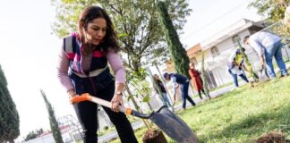 Lupita Cuautle encabeza jornada de reforestación en Santa María Cuaco