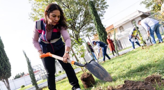 Lupita Cuautle encabeza jornada de reforestación en Santa María Cuaco