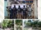 Aseguran inmueble usado para cultivo de marihuana en Puebla