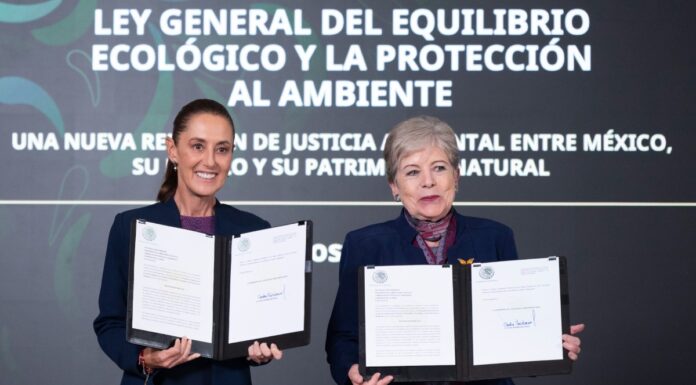 Sheinbaum envía a Cámara de Diputados iniciativa de Protección Ecológica