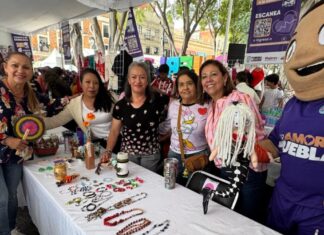 Mercadita Violeta 2026 cierra con más de 20 mil visitantes