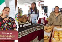 Realizarán Mercadito Hecho por Amor el 28 de agosto en Secretaría de Bienestar