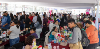 Participan 150 expositores en el Mercadito de las Juventudes