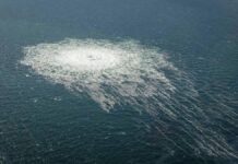 Detienen a ucraniano por atentado contra gasoductos Nord Stream