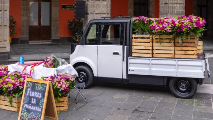 Olinia Cargo