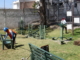 Rehabilitan Parque Infonavit Movimiento Obrero en Puebla