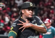 Pericos de Puebla jugarán final de Zona Sur; ganan serie 4-2
