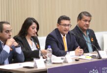 Congreso trabaja por la protección de mujeres y niñas: Pável Gaspar