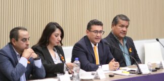 Congreso trabaja por la protección de mujeres y niñas: Pável Gaspar