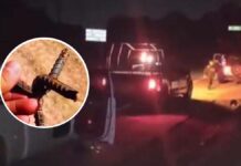 Lanzan ponchallantas sobre la México-Tuxpan; dañan al menos tres vehículos
