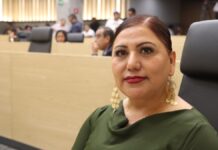 Diputada propone vinculación laboral para indígenas y afromexicanos