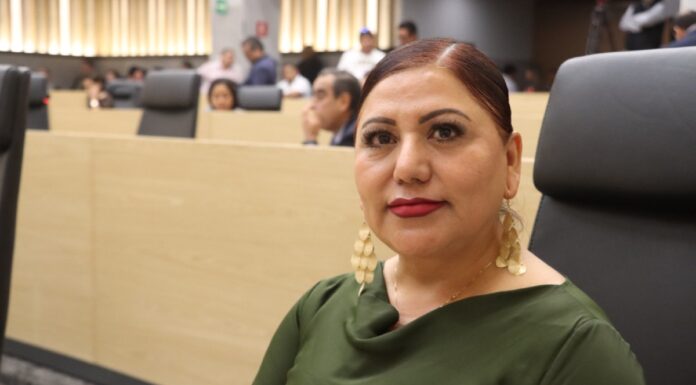 Diputada propone vinculación laboral para indígenas y afromexicanos