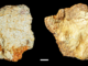 Hallan fragmento de cráneo de más de 200 mil años en España