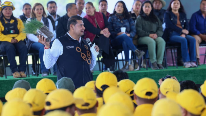 Reforestación