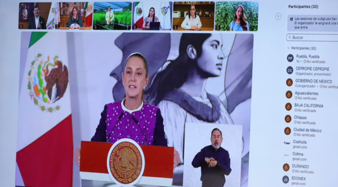 Puebla recibirá inicio de la Jornada Nacional de Reforestación