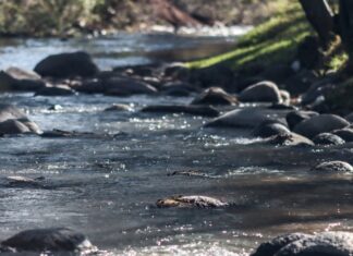 Armenta pide a Edomex atender rastro que afecta al río Atoyac