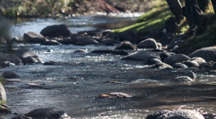 Armenta pide a Edomex atender rastro que afecta al río Atoyac