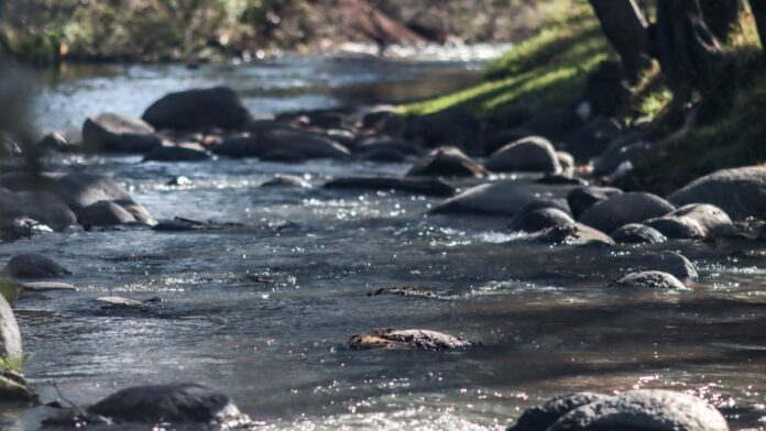 Río Atoyac