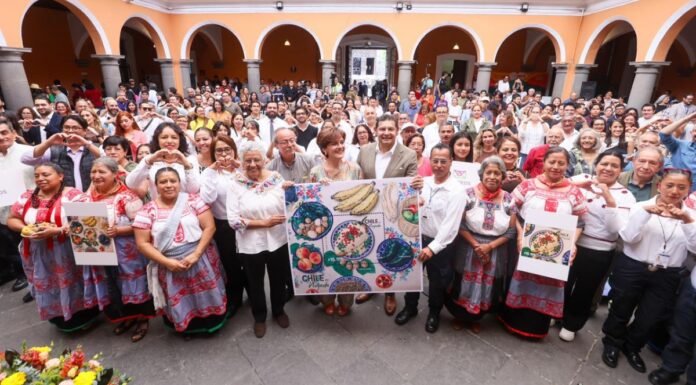 Servicio Postal emite estampilla del Chile en Nogada