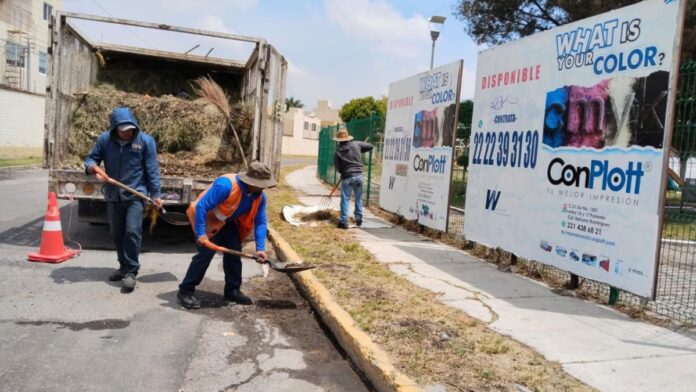Servicios