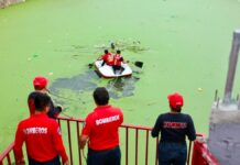 Bomberos rescatan un perro en vaso regulador de Cuautlancingo