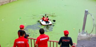 Bomberos rescatan un perro en vaso regulador de Cuautlancingo