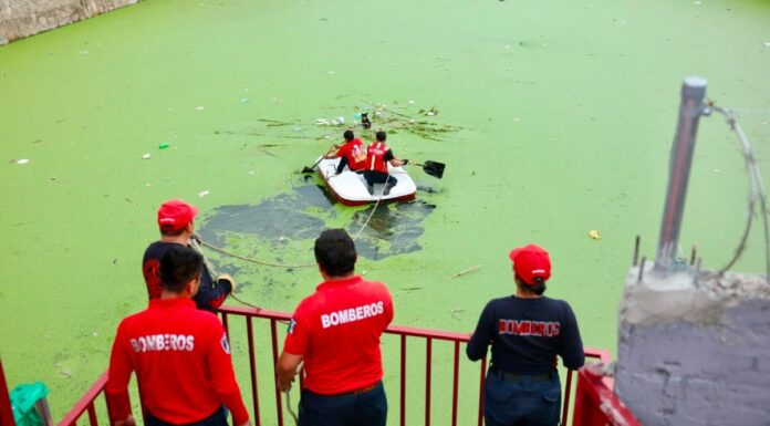 Bomberos rescatan un perro en vaso regulador de Cuautlancingo