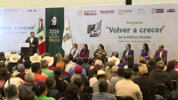 Volver a crecer