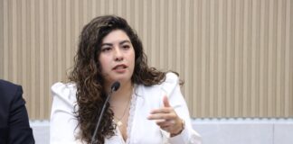 Xel Hernández impulsará propuesta contra violencia vicaria en el Congreso