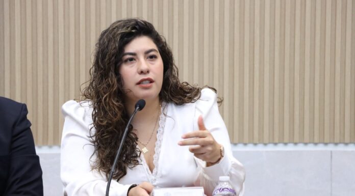Xel Hernández impulsará propuesta contra violencia vicaria en el Congreso