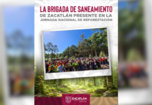 Zacatlán se suma a la Jornada Nacional de Reforestación 2026